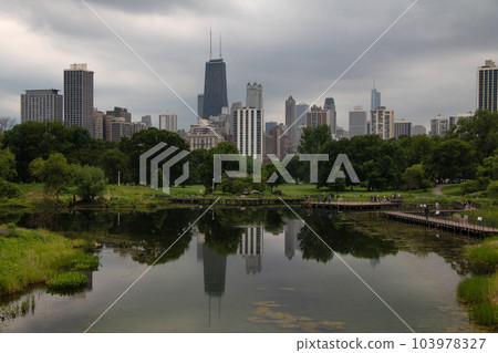 Cityscape and buildings, Chicago, Illinois, USA 103978327