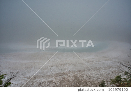 dragon icon in fog 103979190