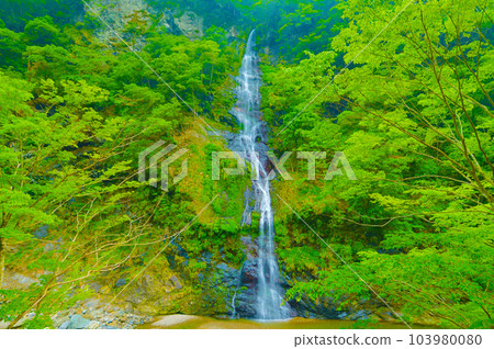 不動瀑布(奈良縣吉野郡十津川村) 不動瀑布(奈良縣吉野郡十津川村) 103980080