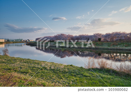 在春天的河邊的風景 103980082