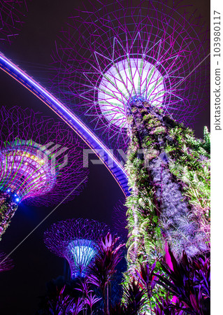 Gardens by the Bay in Singapore 103980117