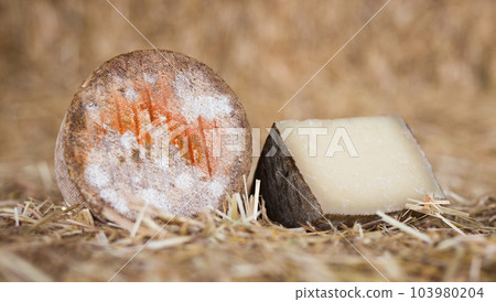 head and chunks of aged hard cheese in hayloft 103980204