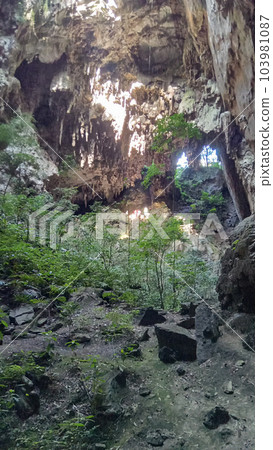rock formations and caves at PETAR, Alto Ribeira Tourist State Park, in Sao Paulo, Brazil rock formations and caves at PETAR, Alto Ribeira Tourist State Park, in Sao Paulo, Brazil 103981087