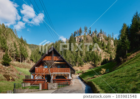 Mountain cottage in the Alps. Panoramic view of beautiful mountain landscape in the Bad Rippoldsau-Schapbach in the Black Forest, area near Burgbach Wasserfall, Baden-Wurttemberg, southern Germany. Mountain cottage in the Alps. Panoramic view of beautiful mountain landscape in the Bad Rippoldsau-Schapbach in the Black Forest, area near Burgbach Wasserfall, Baden-Wurttemberg, southern Germany. 103981548