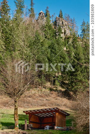 Mountain cottage in the Alps. Panoramic view of beautiful mountain landscape in the Bad Rippoldsau-Schapbach in the Black Forest, area near Burgbach Wasserfall, Baden-Wurttemberg, southern Germany. 103981609