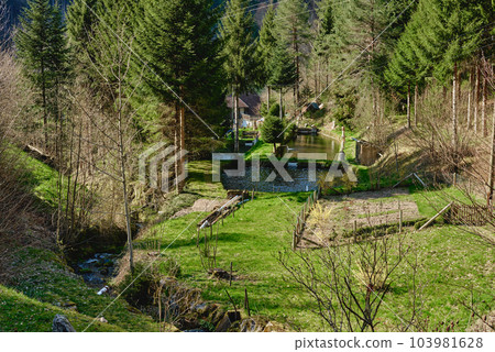 Panoramic view of beautiful mountain landscape in the Bad Rippoldsau-Schapbach in the Black Forest, area near Burgbach Wasserfall, Baden-Wurttemberg, southern Germany. 103981628