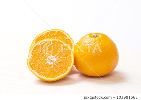 Harumi Harumi Mandarin Citrus Halloumikan Harumi Harumi Mandarin Citrus Halloumikan 103981663