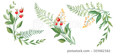 Set of watercolor summer bouquets, corners of green branches, wildflowers and red berries. Botanical hand drawn illustration. Can be used for greeting cards, invitations, floral designs. Set of watercolor summer bouquets, corners of green branches, wildflowers and red berries. Botanical hand drawn illustration. Can be used for greeting cards, invitations, floral designs. 103982382