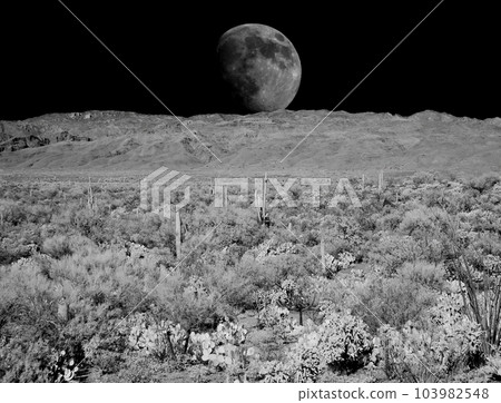 Sonora Desert Arizona Moonrise 103982548