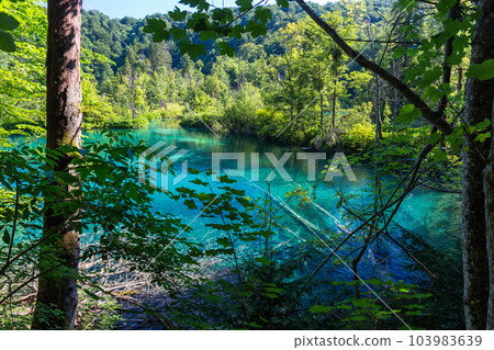 Plitvice Lakes National Park Plitvice Lakes National Park 103983639