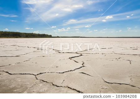 Broken soil in the bed of a salt mine, La Pampa, Argentina Broken soil in the bed of a salt mine, La Pampa, Argentina 103984208