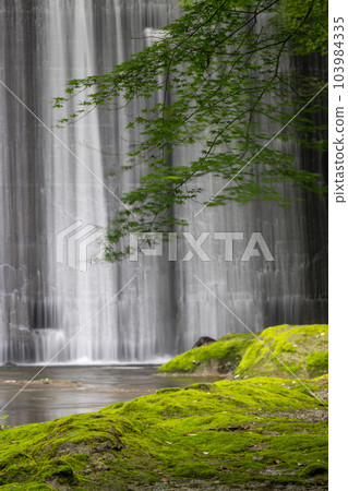 Beautiful fresh green and waterfall scenery with beautiful early summer blue autumn leaves flowing in the clear stream 103984335