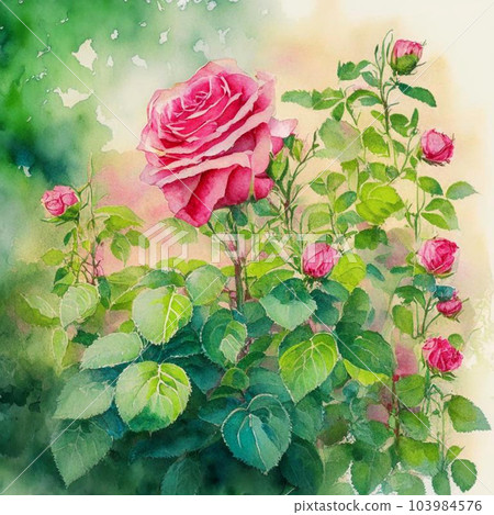 Beautiful pink roses garden. Spring flower background, pink rores bush. Beautiful pink roses garden. Spring flower background, pink rores bush. 103984576