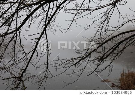 Fishermen on the ice, heavy fog, early spring, lonely Fishermen on the ice, heavy fog, early spring, lonely 103984996