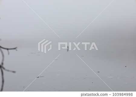 Fishermen on the ice, heavy fog, early spring, lonely Fishermen on the ice, heavy fog, early spring, lonely 103984998