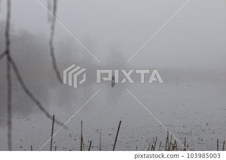 Fishermen on the ice, heavy fog, early spring, lonely Fishermen on the ice, heavy fog, early spring, lonely 103985003