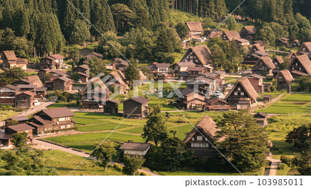 夏日的白川鄉(夜景) 夏日的白川鄉(夜景) 103985011