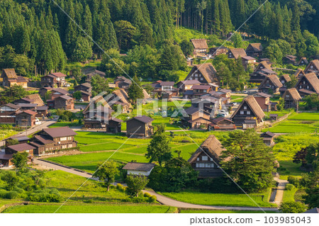 Shirakawa-go in summer (evening view) 103985043