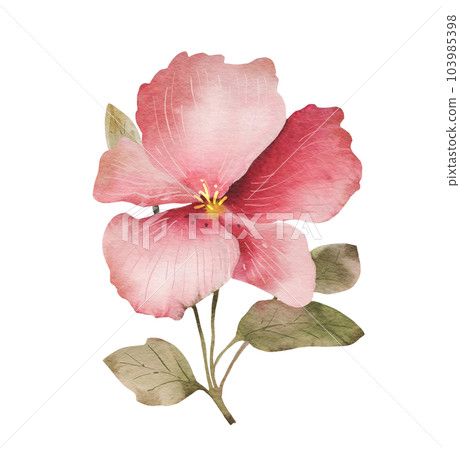 Large isolated pink flower, watercolor illustration for postcards and design. 103985398