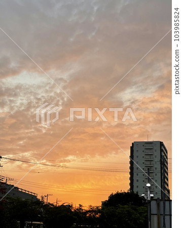 Clouds at dusk 103985824