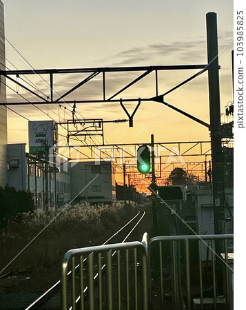 Twilight track 103985825