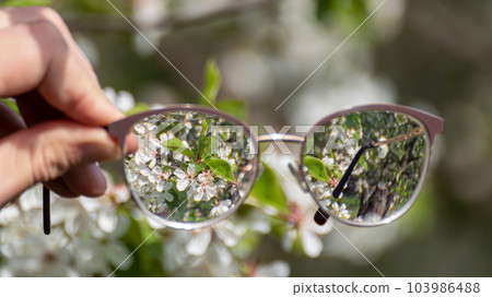 Looking in myopia glasses on garden in focus 103986488