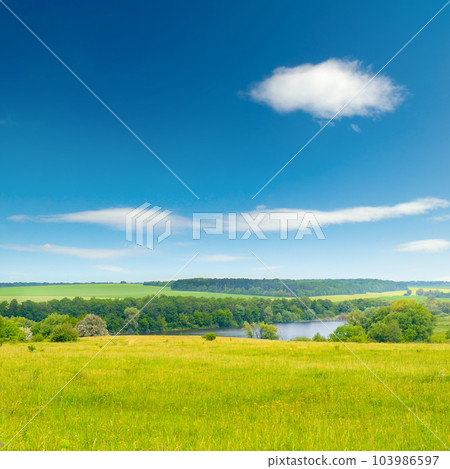 Bright summer pasture with fresh grass Bright summer pasture with fresh grass 103986597