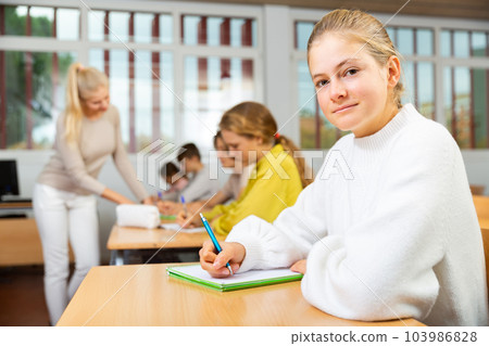 Portrait of schoolgirl at lesson in school 103986828