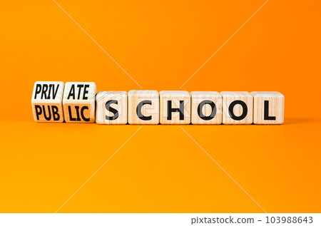 Public or private school symbol. Concept word Public school Private school on wooden cubes. Beautiful orange background. Education Public or private school concept. Copy space. Public or private school symbol. Concept word Public school Private school on wooden cubes. Beautiful orange background. Education Public or private school concept. Copy space. 103988643
