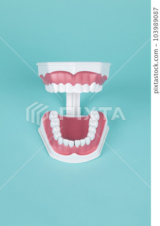 denture and anatomy of the mouth denture and anatomy of the mouth 103989087