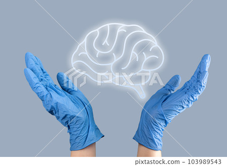 Brain organ diagnostic and health care concept. Neurology 103989543