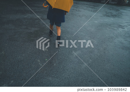 下雨 雨 多雨 103989842