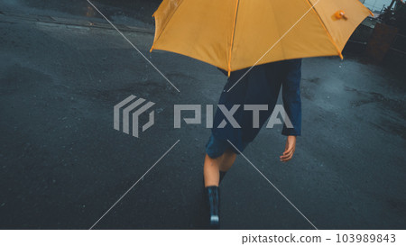 下雨 雨 多雨 103989843