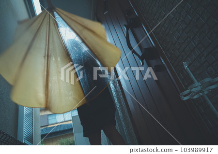 rain, rainy, umbrella 103989917