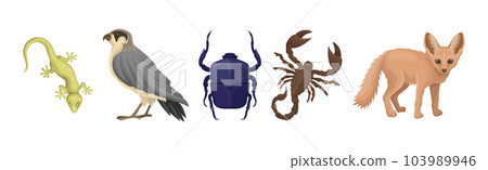 Desert Living Creatures and Wild Animal Vector Set Desert Living Creatures and Wild Animal Vector Set 103989946