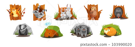 Animals Inside Their Burrow Living in Forest Vector Set 103990020