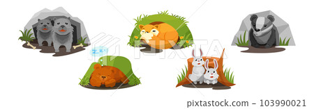 Animals Inside Their Burrow Living in Forest Vector Set Animals Inside Their Burrow Living in Forest Vector Set 103990021
