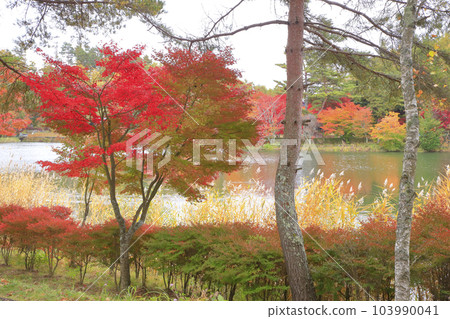 秋色中的蓼科湖 秋色中的蓼科湖 103990041