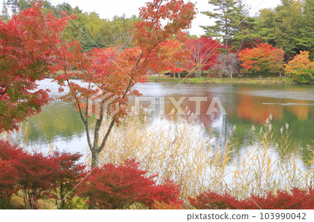 秋色中的蓼科湖 103990042