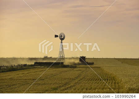 Harvester machine, harvesting in the Argentine countryside, Buenos Aires province, Argentina. Harvester machine, harvesting in the Argentine countryside, Buenos Aires province, Argentina. 103990264