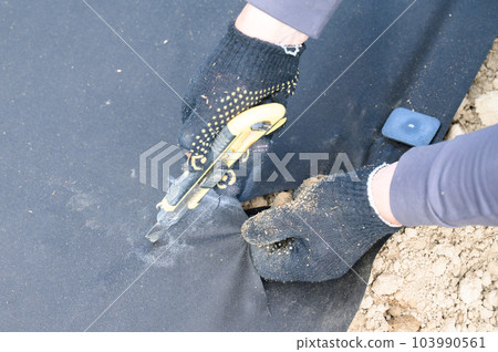 A man cuts a black agricultural fiber along the label A man cuts a black agricultural fiber along the label 103990561