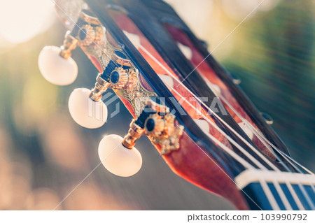 Close-up of the guitar head of a classical guitar with gold pegs. Part of a classical guitar on a blurry background in the park. Head of guitar with nylon strings. 103990792