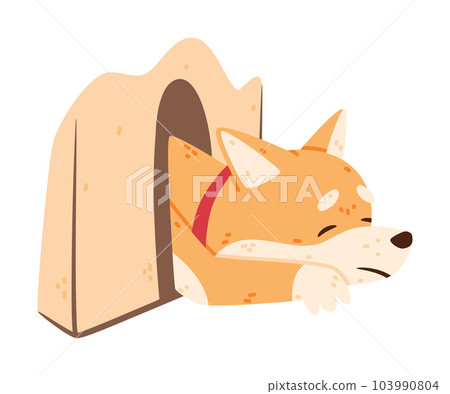 Akita Inu Dog and Domestic Animal or Pet Sleep in Kennel Vector Illustration Akita Inu Dog and Domestic Animal or Pet Sleep in Kennel Vector Illustration 103990804