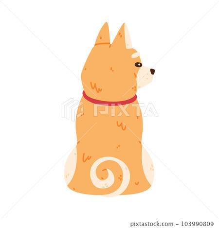 Akita Inu Dog and Domestic Animal or Pet Sitting Back View Vector Illustration 103990809