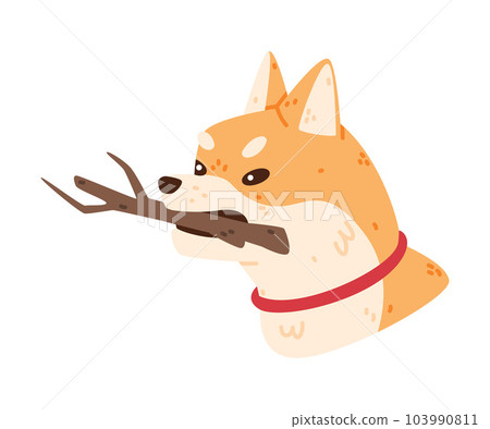 Akita Inu Dog Carry Tree Stick Vector Illustration 103990811