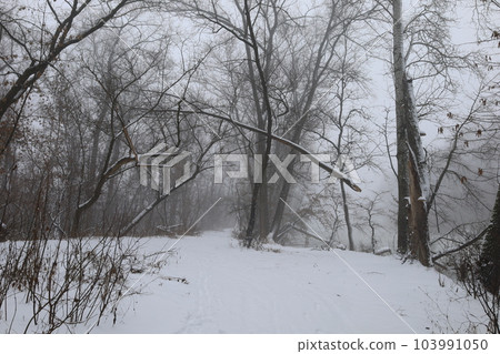 Fog on the river bank, fog in winter, winter landscape 103991050