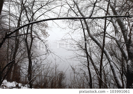 Fog on the river bank, fog in winter, winter landscape 103991061