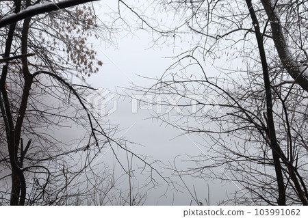 Fog on the river bank, fog in winter, winter landscape Fog on the river bank, fog in winter, winter landscape 103991062