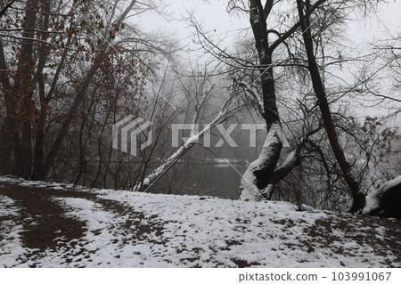 Fog on the river bank, fog in winter, winter landscape 103991067
