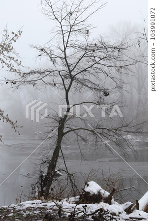 Fog on the river bank, fog in winter, winter landscape Fog on the river bank, fog in winter, winter landscape 103991072